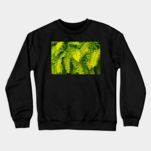 Lush ferns. Crewneck Sweatshirt